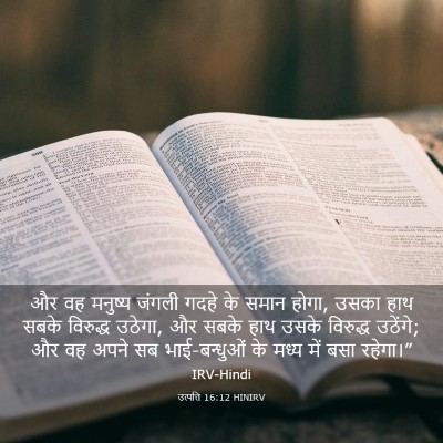 Picture 03 - उत्पत्ति 16:12 HINIRV - और वह मनुष्य जंगली - Bible Verse Picture