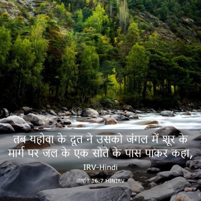 Picture 03 - उत्पत्ति 16:7 HINIRV - तब यहोवा के दूत ने - Bible Verse Picture
