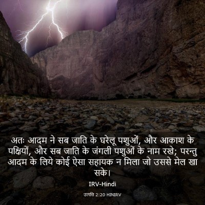 Picture 03 - उत्पत्ति 2:20 HINIRV - अतः आदम ने सब जाति - Bible Verse Picture