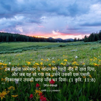Picture 03 - उत्पत्ति 2:21 HINIRV - तब यहोवा - Bible Verse Picture