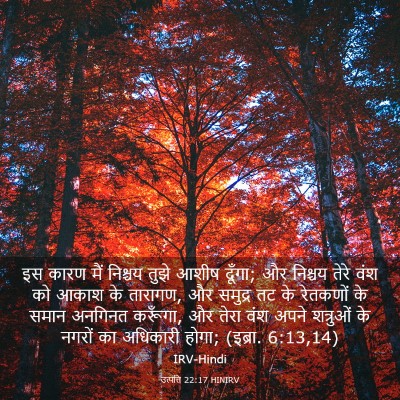 Picture 03 - उत्पत्ति 22:17 HINIRV - इस कारण मैं निश्चय - Bible Verse Picture