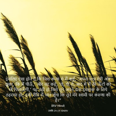 Picture 03 - उत्पत्ति 24:14 HINIRV - इसलिए ऐसा होने दे - Bible Verse Picture