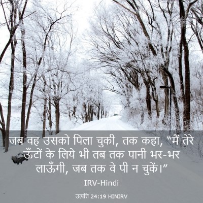 Picture 03 - उत्पत्ति 24:19 HINIRV - जब वह उसको पिला - Bible Verse Picture