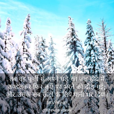 Picture 03 - उत्पत्ति 24:20 HINIRV - तब वह फुर्ती से - Bible Verse Picture