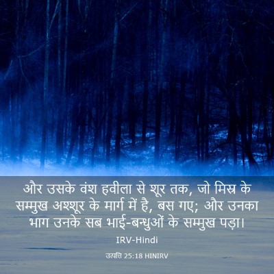 Picture 03 - उत्पत्ति 25:18 HINIRV - और उसके वंश हवीला - Bible Verse Picture