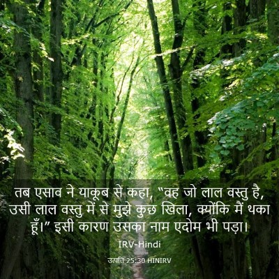Picture 03 - उत्पत्ति 25:30 HINIRV - तब एसाव ने याकूब से - Bible Verse Picture
