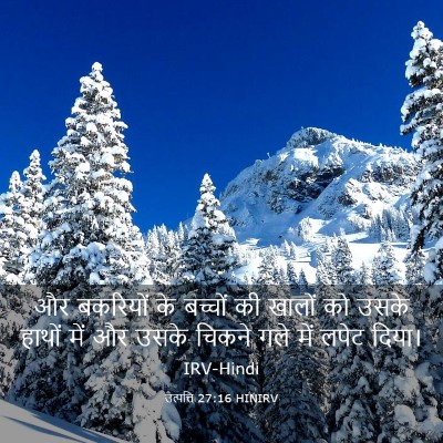 Picture 03 - उत्पत्ति 27:16 HINIRV - और बकरियों के - Bible Verse Picture
