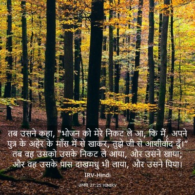 Picture 03 - उत्पत्ति 27:25 HINIRV - तब उसने कहा, “भोजन - Bible Verse Picture