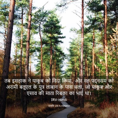 Picture 03 - उत्पत्ति 28:5 HINIRV - तब इसहाक ने याकूब - Bible Verse Picture