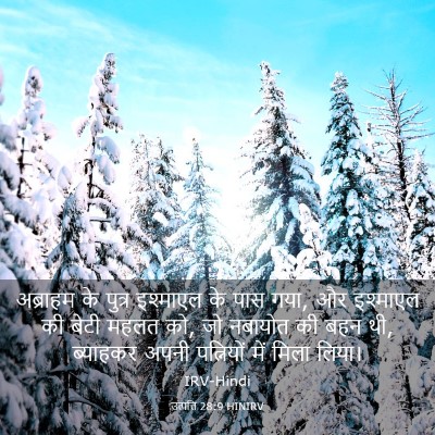 Picture 03 - उत्पत्ति 28:9 HINIRV - अब्राहम के पुत्र - Bible Verse Picture