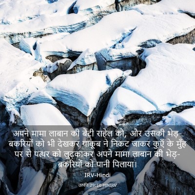 Picture 03 - उत्पत्ति 29:10 HINIRV - अपने मामा लाबान की - Bible Verse Picture