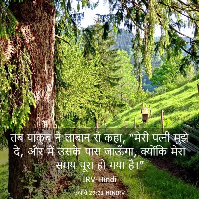 Picture 03 - उत्पत्ति 29:21 HINIRV - तब याकूब ने लाबान - Bible Verse Picture