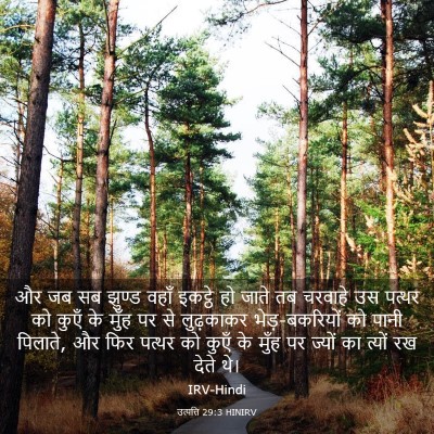 Picture 03 - उत्पत्ति 29:3 HINIRV - और जब सब झुण्ड वहाँ - Bible Verse Picture
