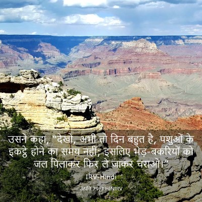 Picture 03 - उत्पत्ति 29:7 HINIRV - उसने कहा, “देखो, - Bible Verse Picture