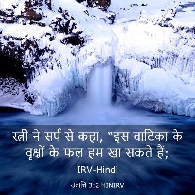 Picture 03 - उत्पत्ति 3:2 HINIRV - स्त्री ने सर्प से - Bible Verse Picture