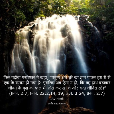Picture 03 - उत्पत्ति 3:22 HINIRV - फिर यहोवा - Bible Verse Picture