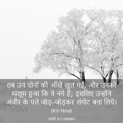 Picture 03 - उत्पत्ति 3:7 HINIRV - तब उन दोनों की - Bible Verse Picture