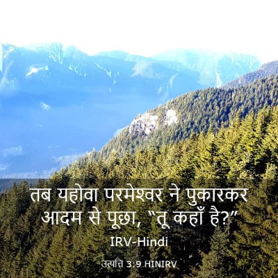 Picture 03 - उत्पत्ति 3:9 HINIRV - तब यहोवा - Bible Verse Picture