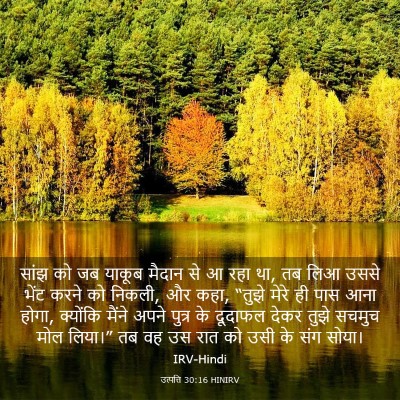 Picture 03 - उत्पत्ति 30:16 HINIRV - सांझ को जब याकूब - Bible Verse Picture