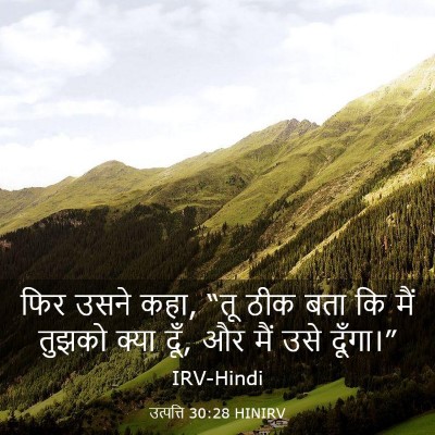 Picture 03 - उत्पत्ति 30:28 HINIRV - फिर उसने कहा, “तू - Bible Verse Picture