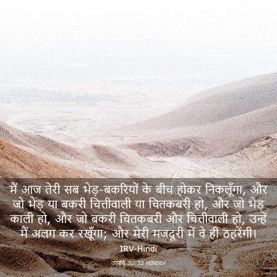 Picture 03 - उत्पत्ति 30:32 HINIRV - मैं आज तेरी सब - Bible Verse Picture