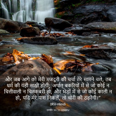 Picture 03 - उत्पत्ति 30:33 HINIRV - और जब आगे को मेरी - Bible Verse Picture