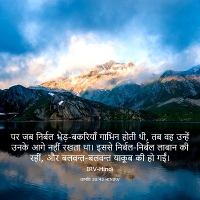 Picture 03 - उत्पत्ति 30:42 HINIRV - पर जब निर्बल - Bible Verse Picture