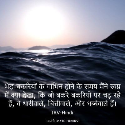 Picture 03 - उत्पत्ति 31:10 HINIRV - भेड़-बकरियों के - Bible Verse Picture