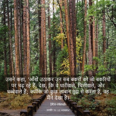 Picture 03 - उत्पत्ति 31:12 HINIRV - उसने कहा, 'आँखें - Bible Verse Picture