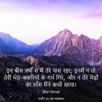 Picture 03 - उत्पत्ति 31:38 HINIRV - इन बीस वर्षों से - Bible Verse Picture