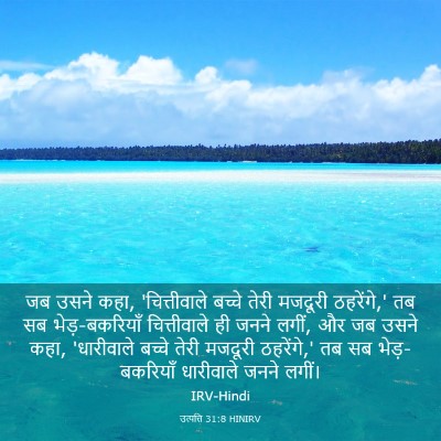 Picture 03 - उत्पत्ति 31:8 HINIRV - जब उसने कहा, - Bible Verse Picture