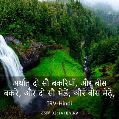 Picture 03 - उत्पत्ति 32:14 HINIRV - अर्थात् दो सौ - Bible Verse Picture