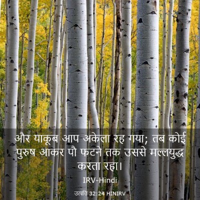 Picture 03 - उत्पत्ति 32:24 HINIRV - और याकूब आप अकेला - Bible Verse Picture