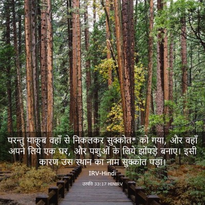 Picture 03 - उत्पत्ति 33:17 HINIRV - परन्तु याकूब वहाँ - Bible Verse Picture