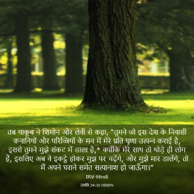 Picture 03 - उत्पत्ति 34:30 HINIRV - तब याकूब ने शिमोन - Bible Verse Picture