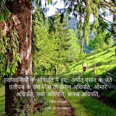 Picture 03 - उत्पत्ति 36:15 HINIRV - एसाववंशियों के - Bible Verse Picture