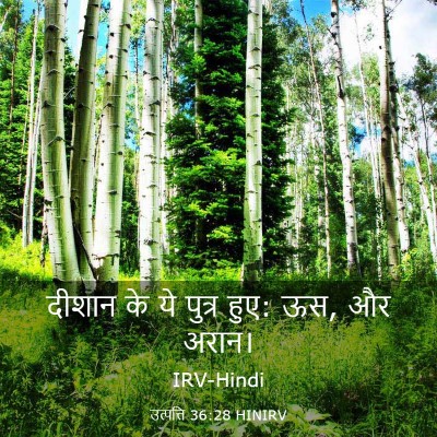 Picture 03 - उत्पत्ति 36:28 HINIRV - दीशान के ये पुत्र - Bible Verse Picture