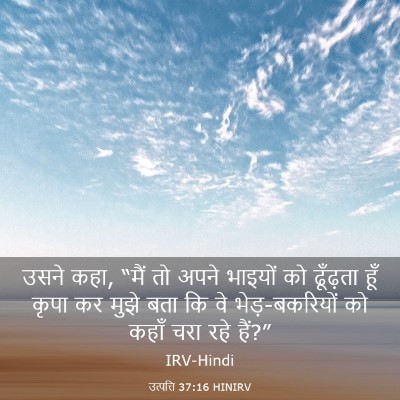 Picture 03 - उत्पत्ति 37:16 HINIRV - उसने कहा, “मैं तो - Bible Verse Picture