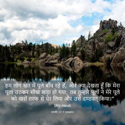 Picture 03 - उत्पत्ति 37:7 HINIRV - हम लोग खेत में पूले - Bible Verse Picture
