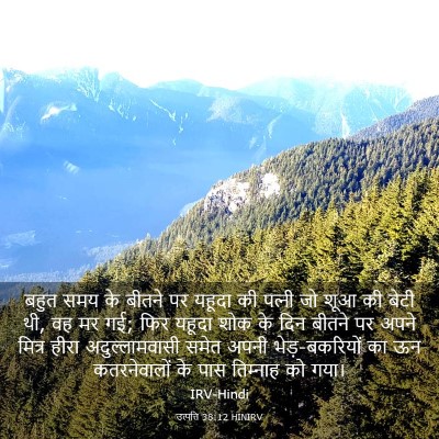 Picture 03 - उत्पत्ति 38:12 HINIRV - बहुत समय के बीतने - Bible Verse Picture