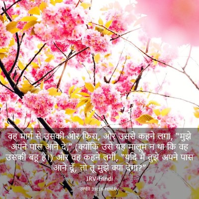Picture 03 - उत्पत्ति 38:16 HINIRV - वह मार्ग से उसकी ओर - Bible Verse Picture