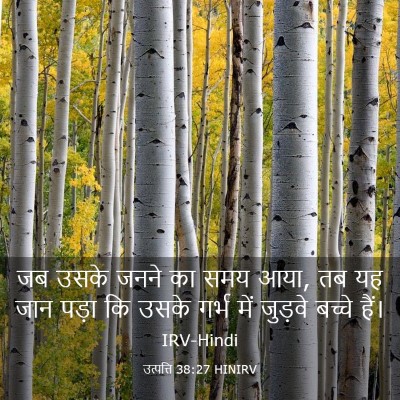 Picture 03 - उत्पत्ति 38:27 HINIRV - जब उसके जनने का समय - Bible Verse Picture