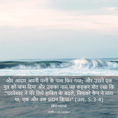 Picture 03 - उत्पत्ति 4:25 HINIRV - और आदम अपनी पत्‍नी - Bible Verse Picture