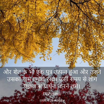 Picture 03 - उत्पत्ति 4:26 HINIRV - और शेत के भी एक - Bible Verse Picture