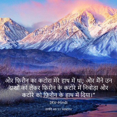 Picture 03 - उत्पत्ति 40:11 HINIRV - और फ़िरौन का कटोरा - Bible Verse Picture