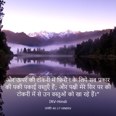 Picture 03 - उत्पत्ति 40:17 HINIRV - और ऊपर की टोकरी में - Bible Verse Picture
