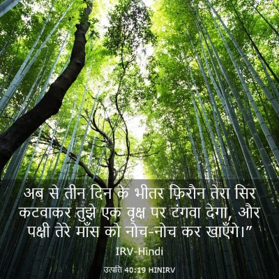 Picture 03 - उत्पत्ति 40:19 HINIRV - अब से तीन दिन के - Bible Verse Picture