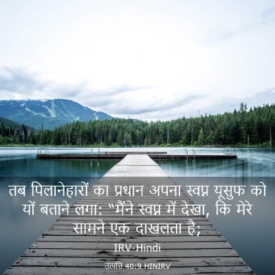 Picture 03 - उत्पत्ति 40:9 HINIRV - तब पिलानेहारों का - Bible Verse Picture