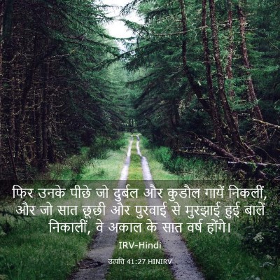 Picture 03 - उत्पत्ति 41:27 HINIRV - फिर उनके पीछे जो - Bible Verse Picture