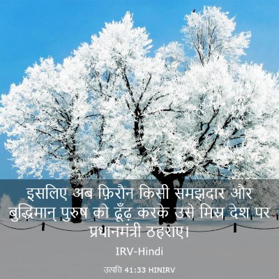 Picture 03 - उत्पत्ति 41:33 HINIRV - इसलिए अब फ़िरौन - Bible Verse Picture